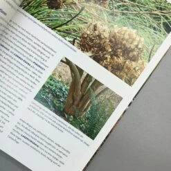 Lebendige Gärten Im Winter (Iris Frey) 9 Lebendige Gärten Im Winter (Iris Frey) -Grün Raum Verkaufsgeschäft 27951 Lebendige 20Gaerten 20im 20Winter Iris 20Frey 5