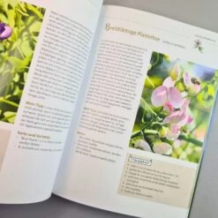 Mein Bienengarten, Erweiterte Auflage (Elke Schwarzer) -Grün Raum Verkaufsgeschäft 28879 Mein 20Bienengarten 20erweiterte 20Auflage Elke 20Schwarzer 5 c15494a2 d75c 486c 8ff3 9973a482fca0