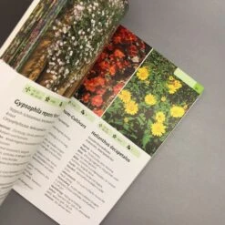 Taschenatlas Stauden (Heissel/Haberer) 7 Taschenatlas Stauden (Heissel/Haberer) -Grün Raum Verkaufsgeschäft 28887 Taschenatlas 20Stauden HeisselHaberer 4