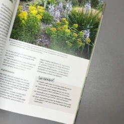 Grün Raum Verkaufsgeschäft -Grün Raum Verkaufsgeschäft 29813 Das 20perfekte 20Beet Folko 20Kullmann 3