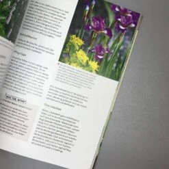 Das Perfekte Beet (Folko Kullmann) -Grün Raum Verkaufsgeschäft 29813 Das 20perfekte 20Beet Folko 20Kullmann 4