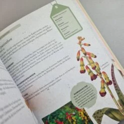 Zwiebelpflanzen Und Knollenblumen (Richard Wilford) -Grün Raum Verkaufsgeschäft 30700 Zwiebelpflanzen 20und 20Knollenblumen Richard 20Wilford 5