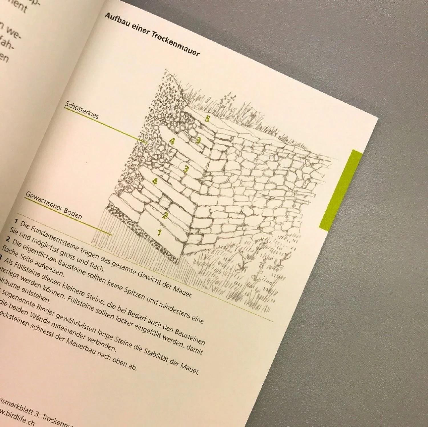 Vom Ziergarten Zum Lebensraum (Kleines Praxisbuch Für Eine Naturnahe) – Bild 4