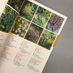 Vom Ziergarten Zum Lebensraum (Kleines Praxisbuch Für Eine Naturnahe) -Grün Raum Verkaufsgeschäft 31390 Vom 20Ziergarten 20zum 20Lebensraum Kleines 20Praxisbuch 20fuer 20eine 20naturnahe 6
