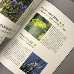 Trockenhelden Naturnah Gärtnern (Simone Kern) -Grün Raum Verkaufsgeschäft 31651 Trockenhelden 20Naturnah 20gaertnern Simone 20Kern 5