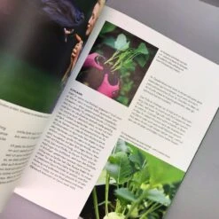 Home Farming (Judith Rakers) -Grün Raum Verkaufsgeschäft 31997 Home 20Farming Judith 20Rakers 6