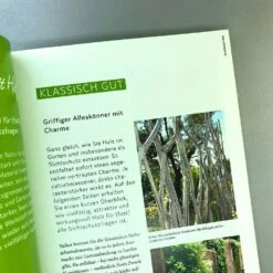 Schöner Sichtschutz Selbst Gemacht (Lars Weigelt) -Grün Raum Verkaufsgeschäft 32989 Schoener 20Sichtschutz 20selbst 20gemacht Lars 20Weigelt 6