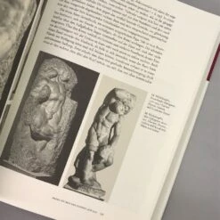 Michelangelo (Horst Bredekamp) -Grün Raum Verkaufsgeschäft 33381 Michelangelo Horst 20Bredekamp 4