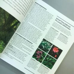 Richtig Gut Gärtnern (RHS Royal Horticulture Society) -Grün Raum Verkaufsgeschäft 34294 Richtig 20gut 20Gaertnern RHS 20Royal 20Horticulture 20Society 6