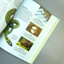 Leben Am Gartenteich (Kate Bradbury) -Grün Raum Verkaufsgeschäft 34296 Leben 20am 20Gartenteich Kate 20Bradbury 5