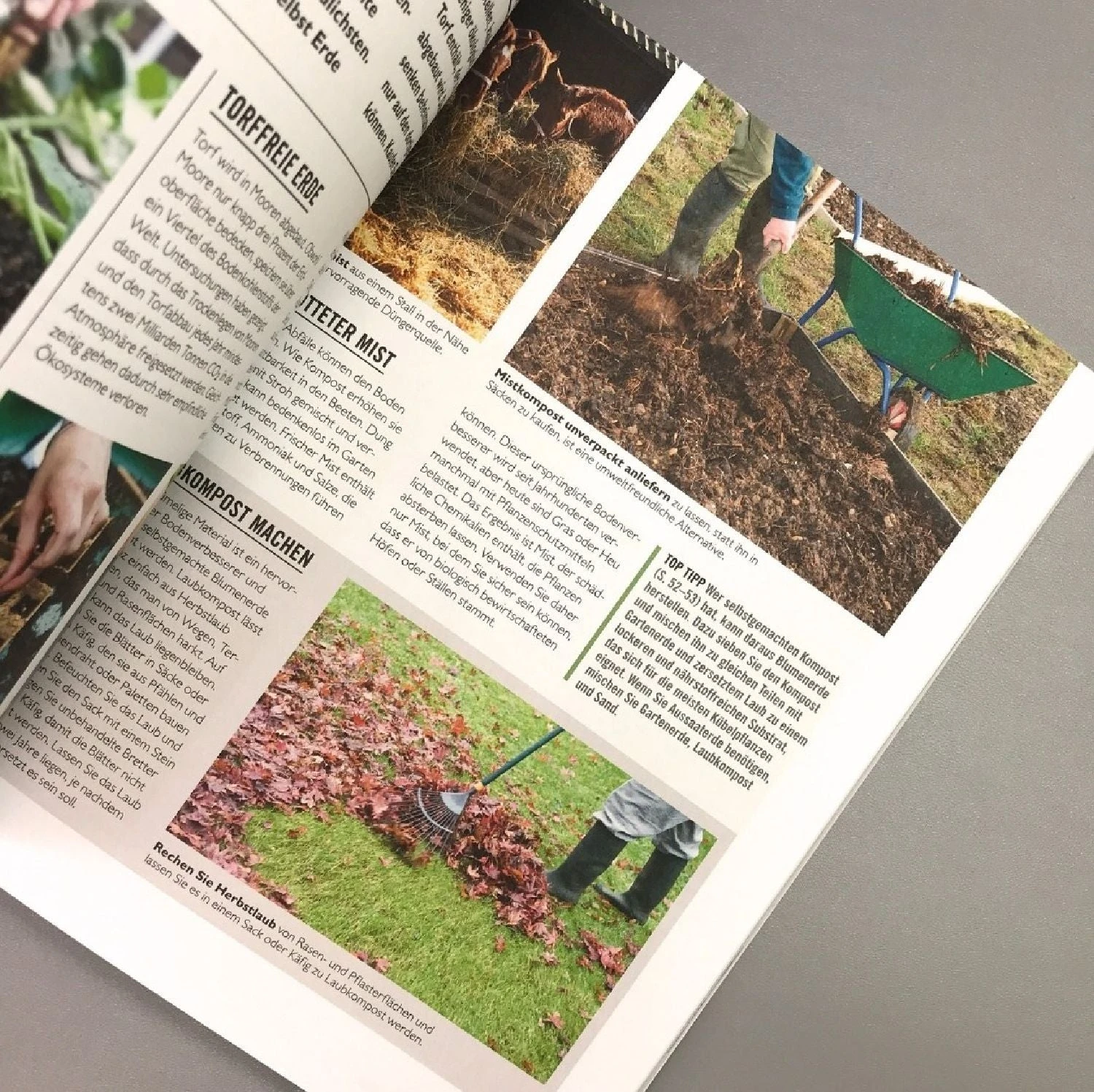 Ökologisch Gärtnern (Grünes Garten Wissen) 4 Ökologisch Gärtnern (Grünes Garten Wissen) – Bild 4