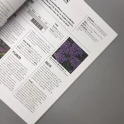 Pflanzen Im Topf (Grünes Garten Wissen) -Grün Raum Verkaufsgeschäft 34299 Pflanzen 20im 20Topf Gruenes 20Garten 20Wissen 5