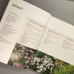 Wächst Fast Ohne Wasser (Aurélien Davroux) -Grün Raum Verkaufsgeschäft 34690 Waechst 20fast 20ohne 20Wasser Aurlien 20Davroux 4