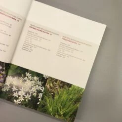 Wächst Fast Ohne Wasser (Aurélien Davroux) -Grün Raum Verkaufsgeschäft 34690 Waechst 20fast 20ohne 20Wasser Aurlien 20Davroux 5