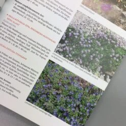 Wächst Fast Ohne Wasser (Aurélien Davroux) -Grün Raum Verkaufsgeschäft 34690 Waechst 20fast 20ohne 20Wasser Aurlien 20Davroux 6