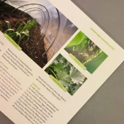 Was Mache Ich Wann Im Gemüsegarten? (Otmar Diez) -Grün Raum Verkaufsgeschäft 34784 Was 20mache 20ich 20wann 20im 20Gemuesegarten Otmar 20Diez 5