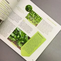 Was Mache Ich Wann Im Gemüsegarten? (Otmar Diez) -Grün Raum Verkaufsgeschäft 34784 Was 20mache 20ich 20wann 20im 20Gemuesegarten Otmar 20Diez 6