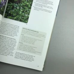 Grün Raum Verkaufsgeschäft -Grün Raum Verkaufsgeschäft 34785 Wild 20und 20Bunt Naturnahe 20Gaerten 3 8a838d28 d7e3 4432 8b55 92dd9501e80c