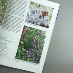 Wild Und Bunt (Naturnahe Gärten) -Grün Raum Verkaufsgeschäft 34785 Wild 20und 20Bunt Naturnahe 20Gaerten 4 2006667a 7050 4d14 88ee 9f2b67e89403