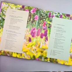 Robuste Traumbeete Gestalten (Ina Timm, Sylvia Knittel) -Grün Raum Verkaufsgeschäft 34925 Robuste 20Traumbeete 20gestalten Ina 20Timm 20Sylvia 20Knittel 3 ddab70a1 e554 4924 892a c59176326575