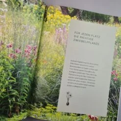 Robuste Traumbeete Gestalten (Ina Timm, Sylvia Knittel) -Grün Raum Verkaufsgeschäft 34925 Robuste 20Traumbeete 20gestalten Ina 20Timm 20Sylvia 20Knittel 5 f07f7277 99f6 4216 bddf 0654d8348592