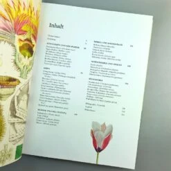 Pflanzenjäger (Wie Exotische Pflanzen In Unsere Gärten) 13 Pflanzenjäger (Wie Exotische Pflanzen In Unsere Gärten) -Grün Raum Verkaufsgeschäft 35899 Pflanzenjaeger Wie 20exotische 20Pflanzen 20in 20unsere 20Gaerten 20 4