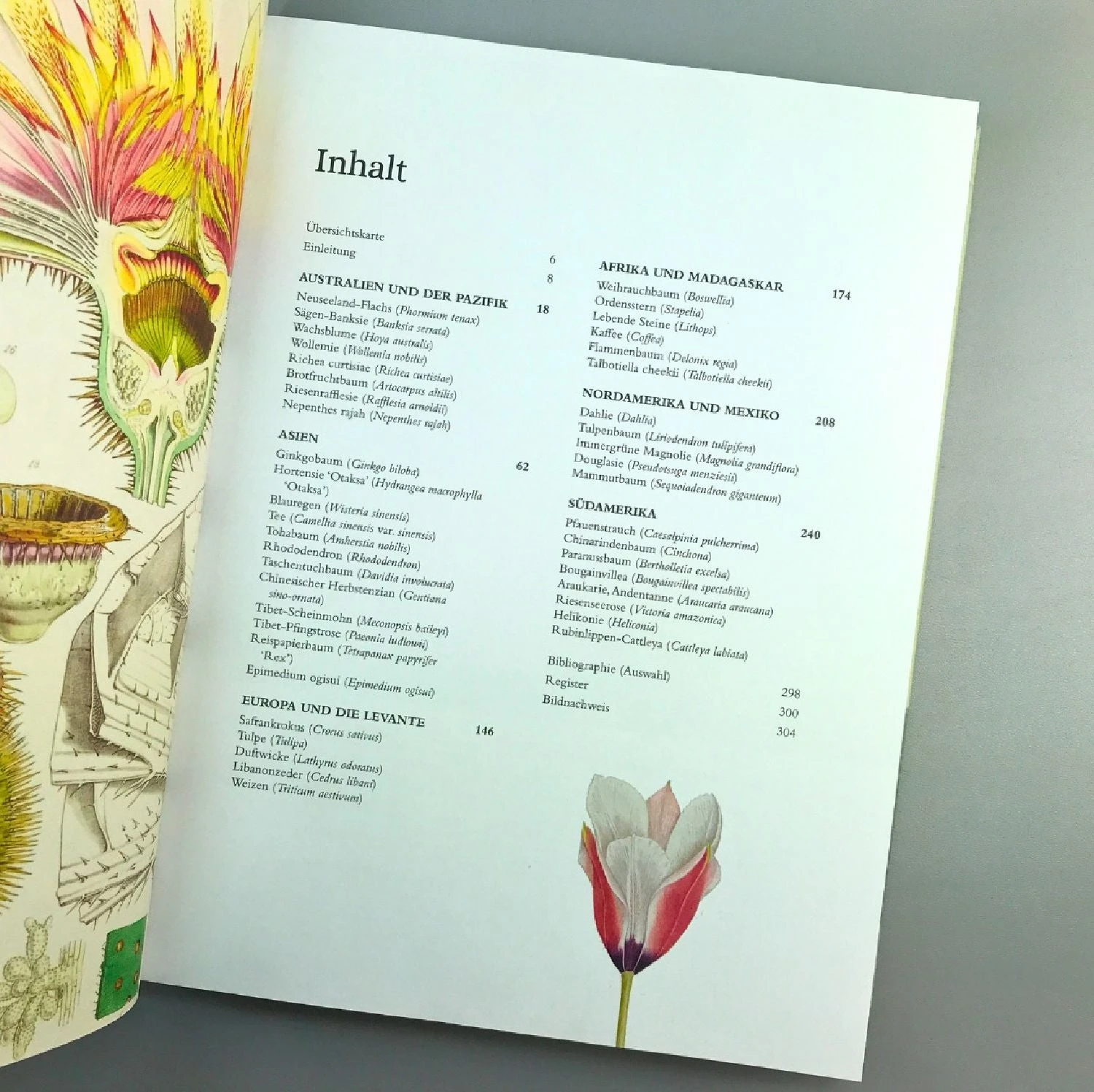 Pflanzenjäger (Wie Exotische Pflanzen In Unsere Gärten) 3 Pflanzenjäger (Wie Exotische Pflanzen In Unsere Gärten) – Bild 3