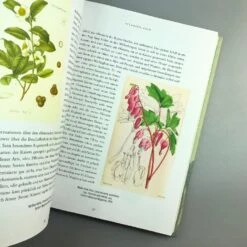 Pflanzenjäger (Wie Exotische Pflanzen In Unsere Gärten) 20 Pflanzenjäger (Wie Exotische Pflanzen In Unsere Gärten) -Grün Raum Verkaufsgeschäft 35899 Pflanzenjaeger Wie 20exotische 20Pflanzen 20in 20unsere 20Gaerten 5