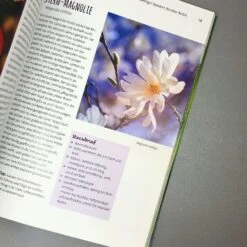 Die 150 Besten Pflanzen (für Jede Gartenecken) -Grün Raum Verkaufsgeschäft 35935 Die 20150 20Besten 20Pflanzen fuer 20jede 20Gartenecken 4