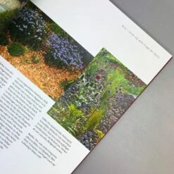 Grün Raum Verkaufsgeschäft -Grün Raum Verkaufsgeschäft 35936 Beth 20Chatto 20Kiesgarten Gaertnern 20auf 20trockenem 20Standort 3