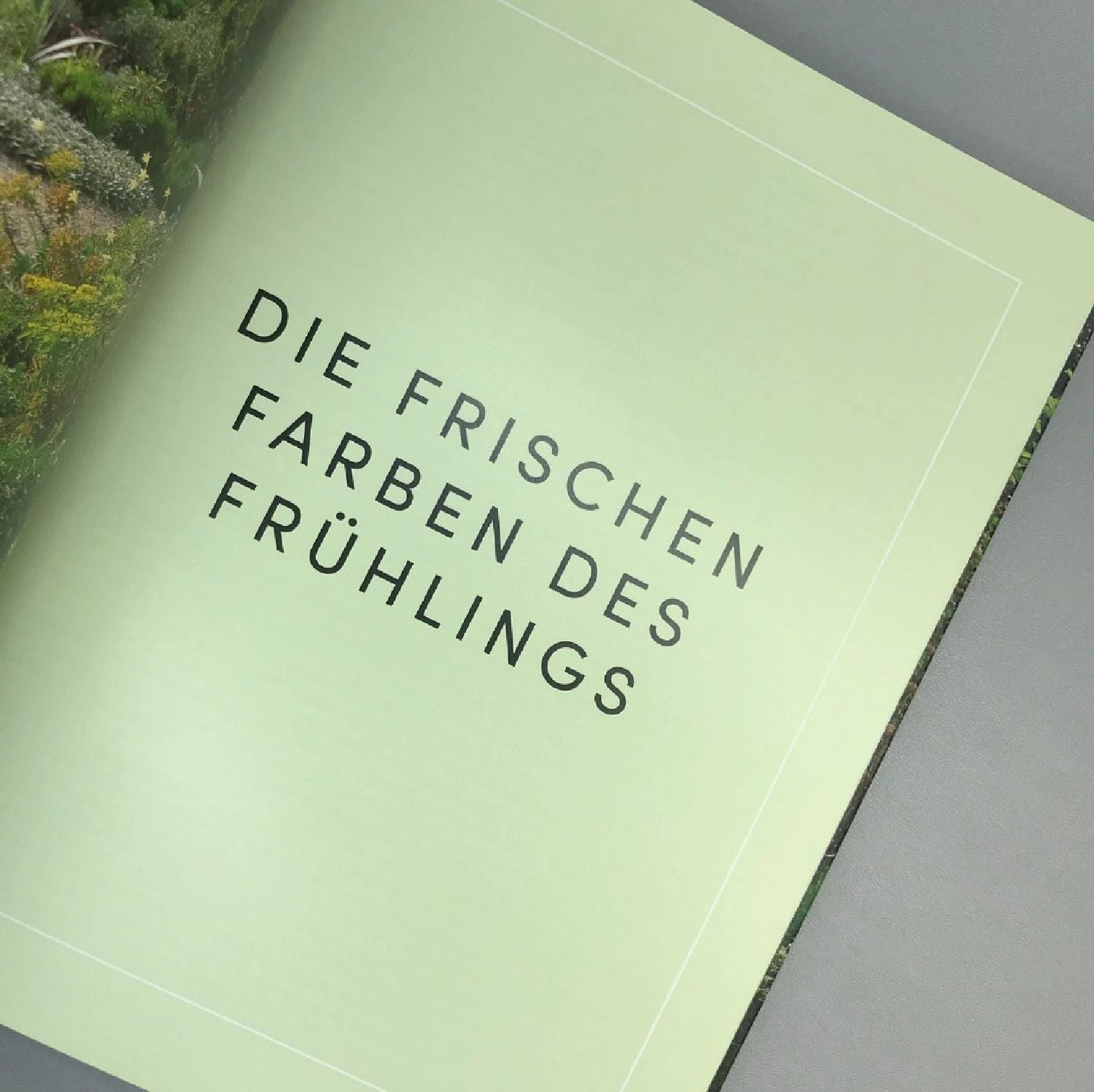 Beth Chatto Kiesgarten (Gärtnern Auf Trockenem Standort) 4 Beth Chatto Kiesgarten (Gärtnern Auf Trockenem Standort) – Bild 4