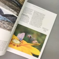 Wenn Nicht Jetzt, Wann Dann? (Manuela Gassner) -Grün Raum Verkaufsgeschäft 37114 Wenn 20nicht 20jetzt 20Wann 20dann Manuela 20Gassner 5