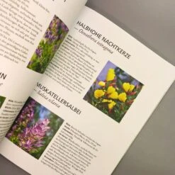 Der Antiautoritäre Garten (Simone Kern) -Grün Raum Verkaufsgeschäft 37125 Der 20antiautoritaere 20Garten Simone 20Kern 4