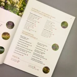 Echte Hitzeprofis (Katrin Lugerbauer) -Grün Raum Verkaufsgeschäft 37807 Echte 20Hitzeprofis Katrin 20Lugerbauer 4