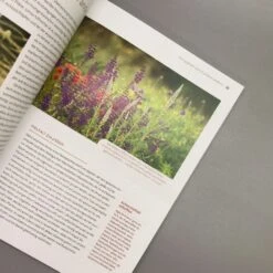 Echte Hitzeprofis (Katrin Lugerbauer) -Grün Raum Verkaufsgeschäft 37807 Echte 20Hitzeprofis Katrin 20Lugerbauer 5