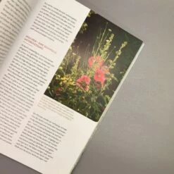 Echte Hitzeprofis (Katrin Lugerbauer) -Grün Raum Verkaufsgeschäft 37807 Echte 20Hitzeprofis Katrin 20Lugerbauer 6