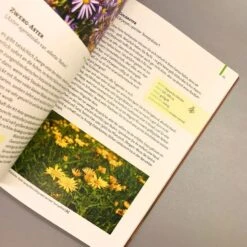 Gartenschätze (Falk-Ingo Klee) -Grün Raum Verkaufsgeschäft 37860 Gartenschaetze Falk Ingo 20Klee 4 d37276d0 3ee5 472b bc70 f38a39726be6