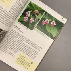 Gartenschätze (Falk-Ingo Klee) -Grün Raum Verkaufsgeschäft 37860 Gartenschaetze Falk Ingo 20Klee 5 3569ac3e 0bf8 4290 be0e 984267987b47