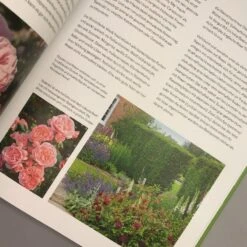 Das Große Handbuch - Stauden (Martin Stangl) -Grün Raum Verkaufsgeschäft 37918 Das 20grosse 20Handbuch 20 20Stauden Martin 20Stangl 4