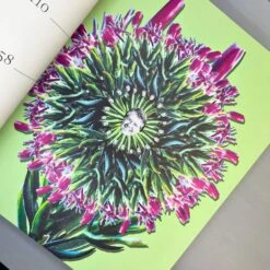 Flowers Forever (Blumen In Kunst Und Kultur) -Grün Raum Verkaufsgeschäft 38074 Flowers 20Forever Blumen 20in 20Kunst 20und 20Kultur 4