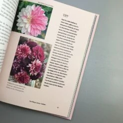 Dahlien Zauber (Sarah Stiller) -Grün Raum Verkaufsgeschäft 38278 Dahlien 20Zauber Sarah 20Stiller 4