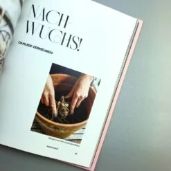 Dahlien Zauber (Sarah Stiller) -Grün Raum Verkaufsgeschäft 38278 Dahlien 20Zauber Sarah 20Stiller 5