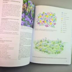 Überlebenskünstler (Simone Kern) -Grün Raum Verkaufsgeschäft 38665 UEberlebenskuenstler Simone 20Kern 4 964d27af 3dd4 4934 8637 057e75bf59d7