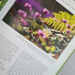 Blütenreich (Katrin Lugerbauer) -Grün Raum Verkaufsgeschäft Bluetenreich 4