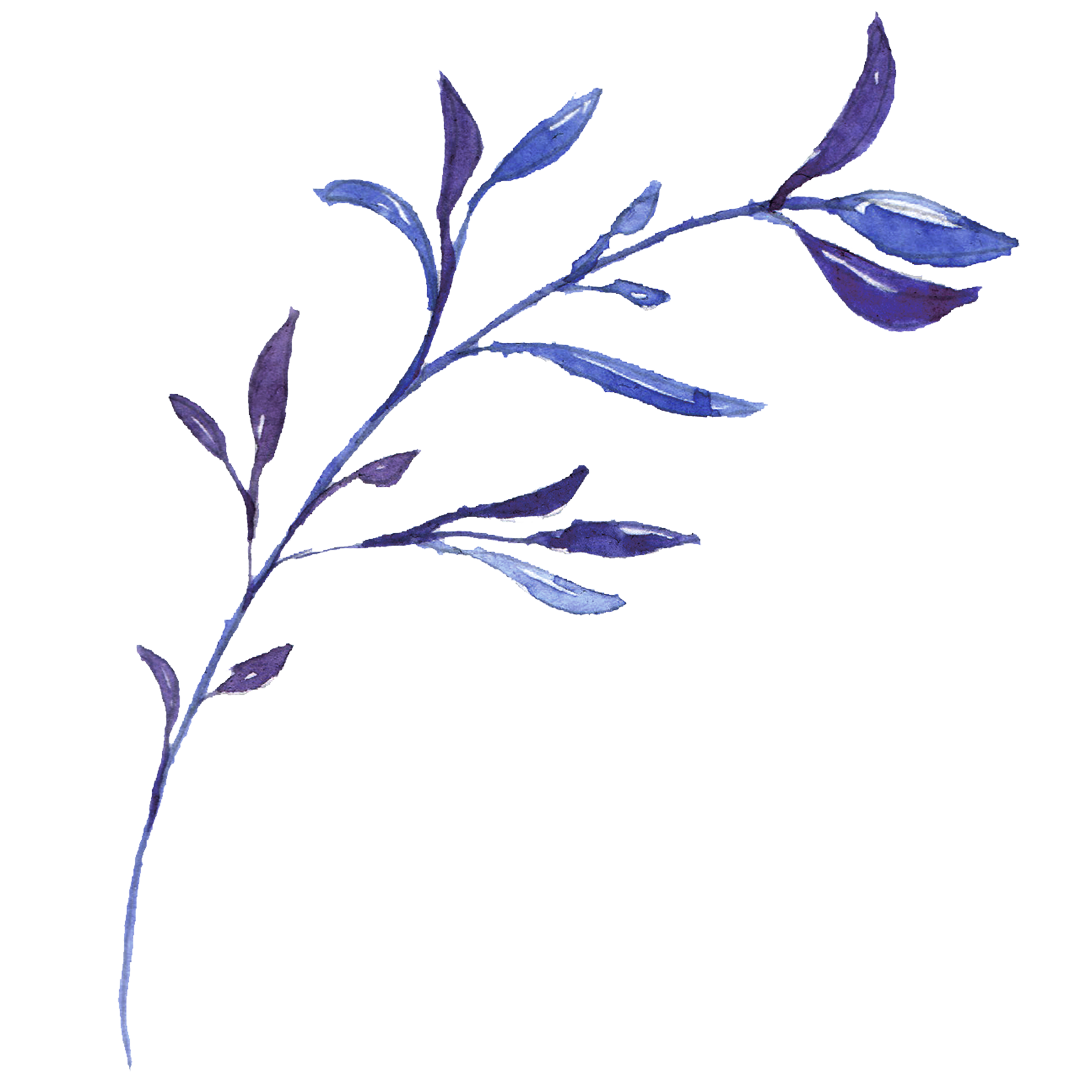 Grün Raum Verkaufsgeschäft