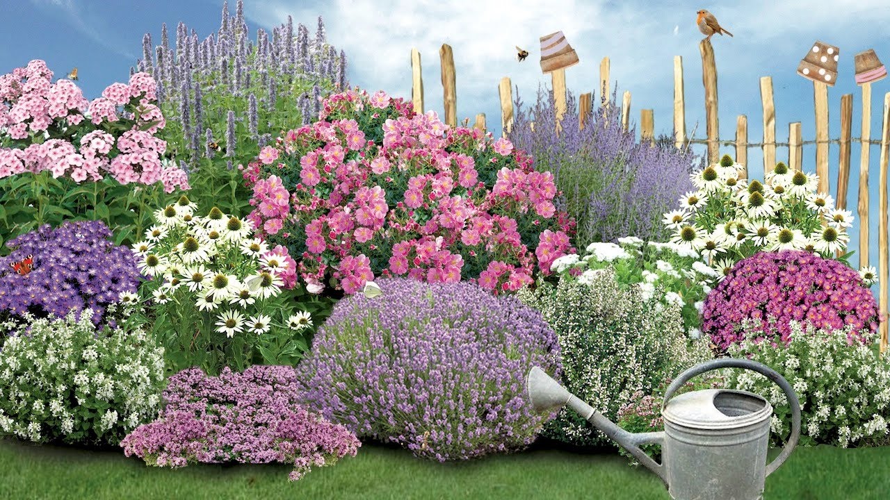 Grün Raum Verkaufsgeschäft -Grün Raum Verkaufsgeschäft