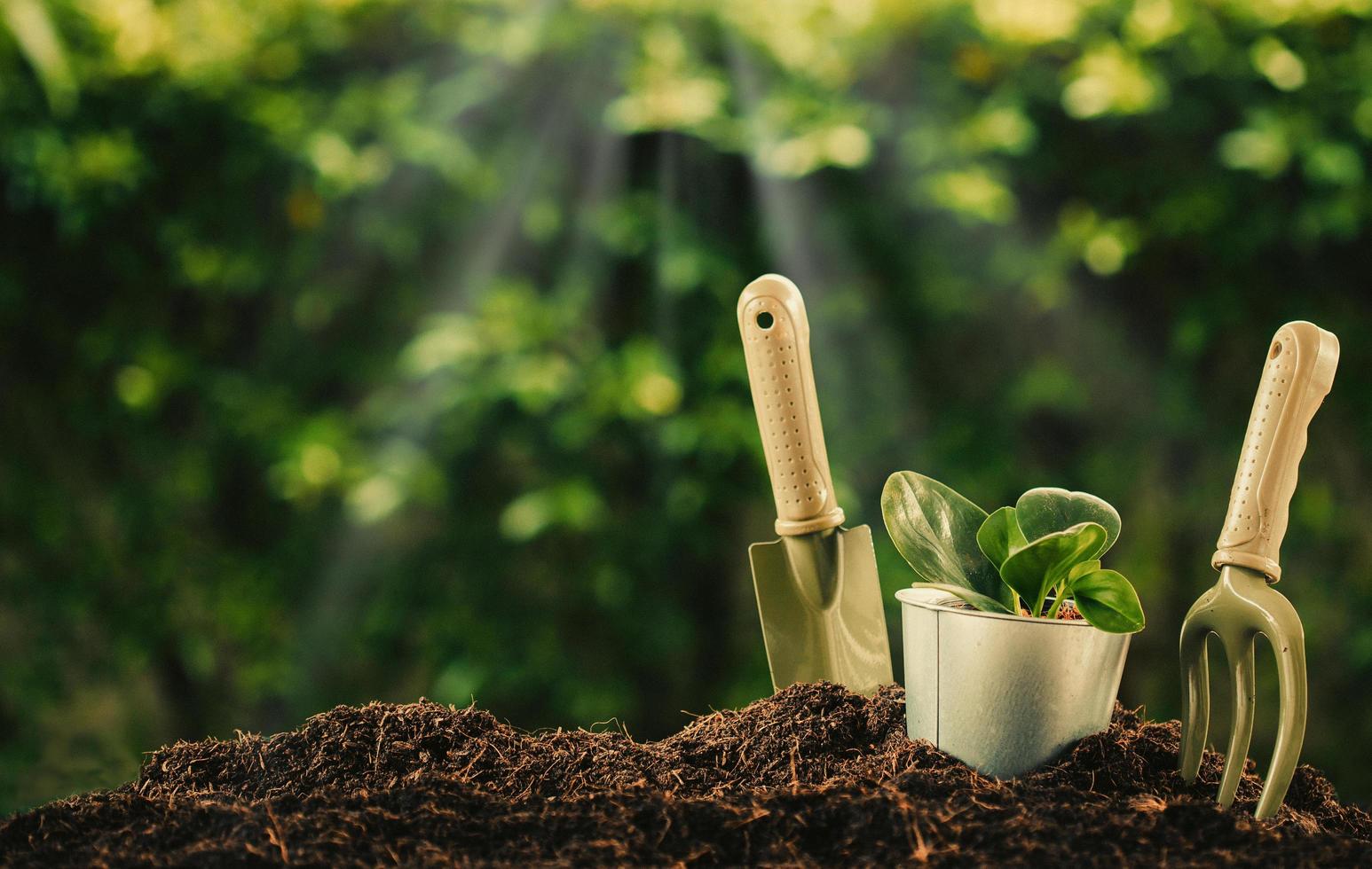 Grün Raum Verkaufsgeschäft -Grün Raum Verkaufsgeschäft planting a small plant on a pile of soil with gardening tools on green bokeh background free photo